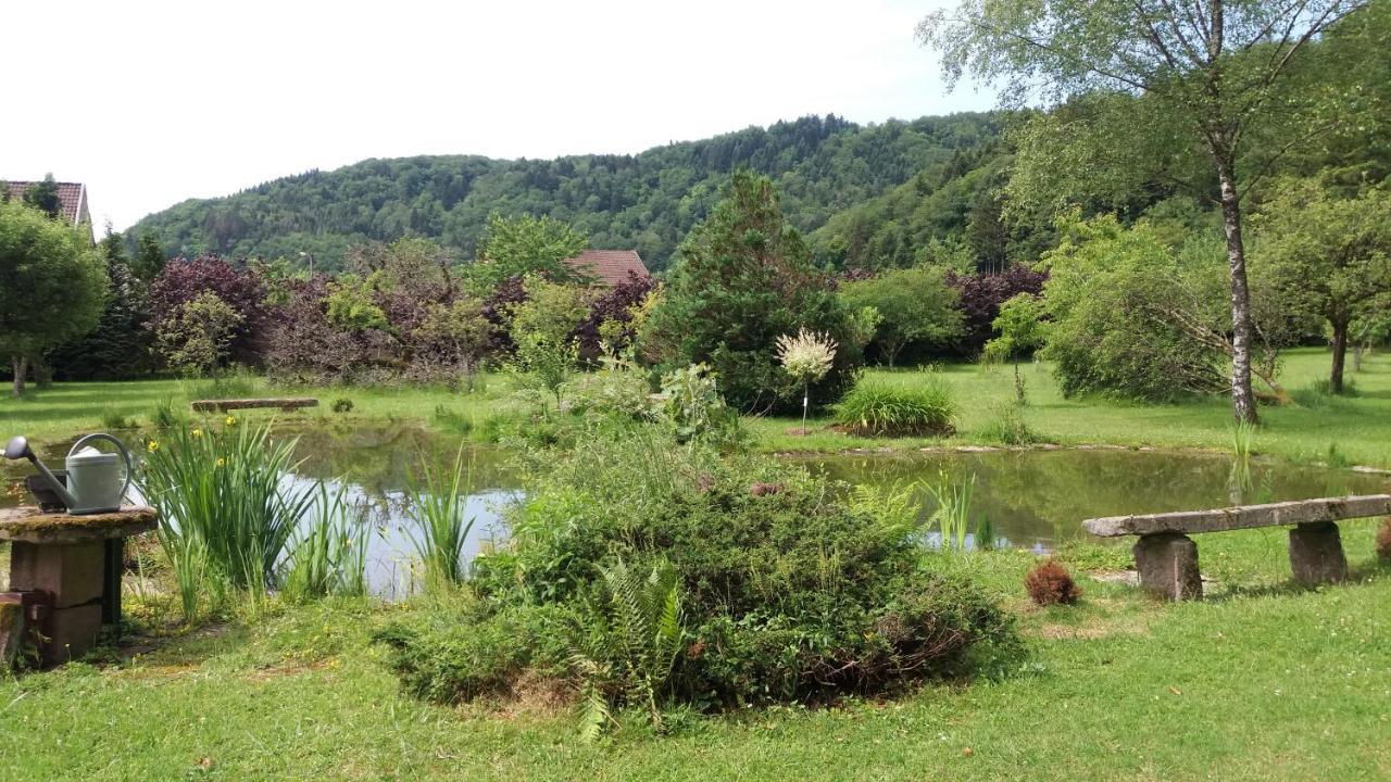 Pied Des Milles Etang - Les Capucins Bed & Breakfast Faucogney-et-la-Mer Bagian luar foto