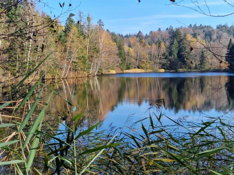 Pied Des Milles Etang - Les Capucins Bed & Breakfast Faucogney-et-la-Mer Bagian luar foto