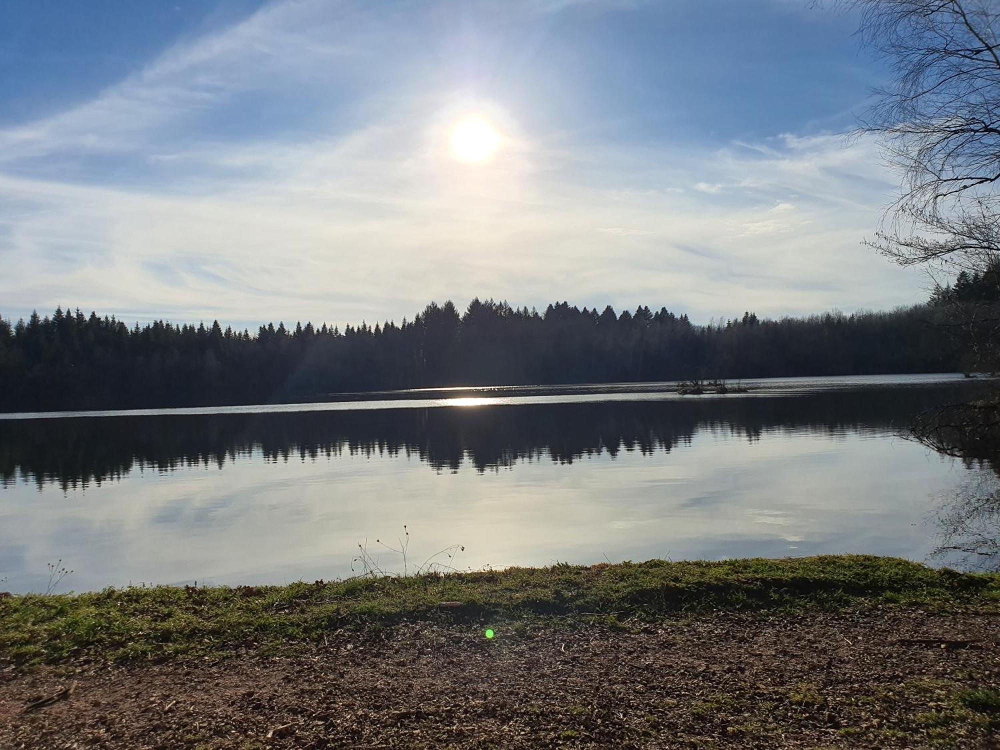 Pied Des Milles Etang - Les Capucins Bed & Breakfast Faucogney-et-la-Mer Bagian luar foto